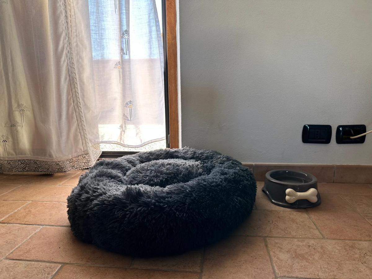 Crock House Holiday home Funtana Meiga